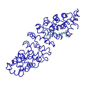 Structure preview of MDBind 5huy