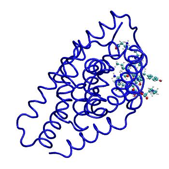 Structure preview of MDBind 5iaw