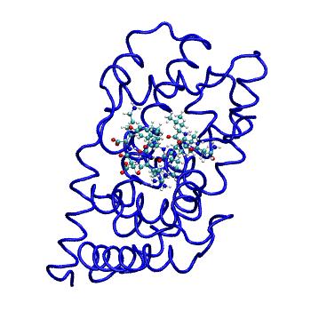 Structure preview of MDBind 5ick