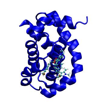 Structure preview of MDBind 5if4