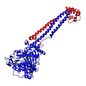 Structure preview of MDBind 5lgt