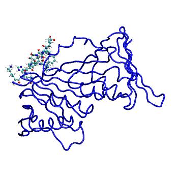 Structure preview of MDBind 5mlo