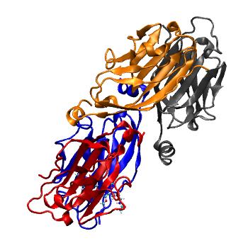 Structure preview of MDBind 5n2d