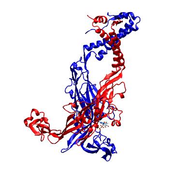 Structure preview of MDBind 5svk