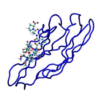 Structure preview of MDBind 5xof