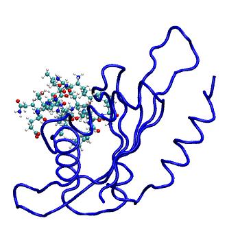 Structure preview of MDBind 5y7w
