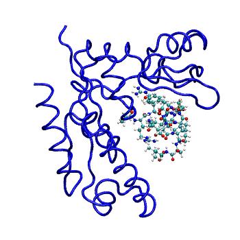 Structure preview of MDBind 5ypo