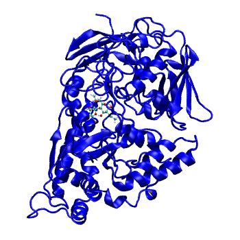 Structure preview of MDBind 5yqw