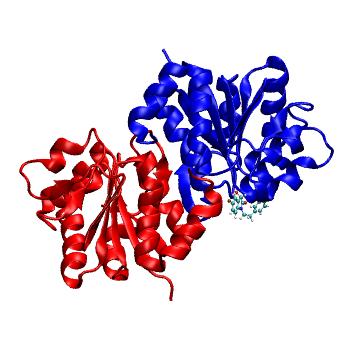 Structure preview of MDBind 6afl