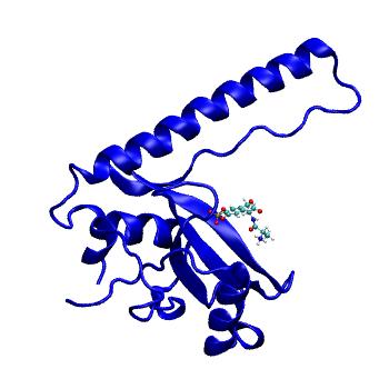 Structure preview of MDBind 6e8m