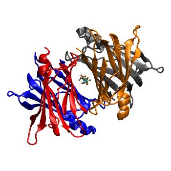 Structure preview of MDBind 6gon