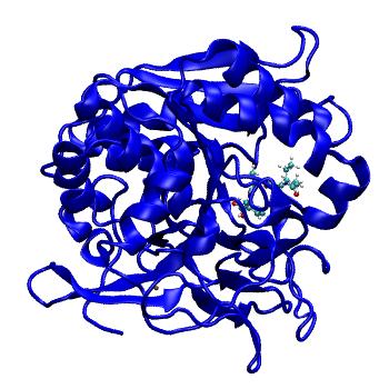 Structure preview of MDBind 6m8w