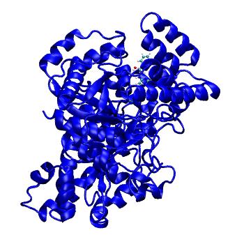 Structure preview of MDBind 6mrg