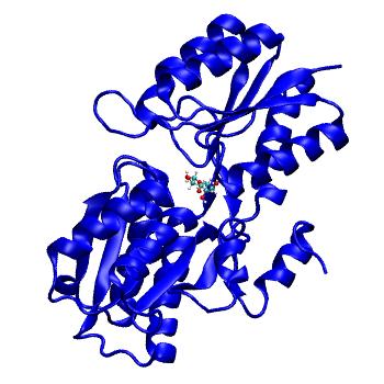 Structure preview of MDBind 9abp