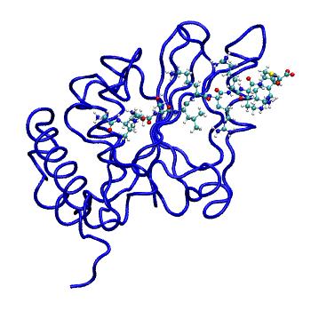 Structure preview of MDBind 1avp