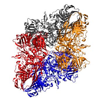 Structure preview of MDBind 1px4