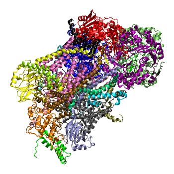 Structure preview of MDBind 1sqq