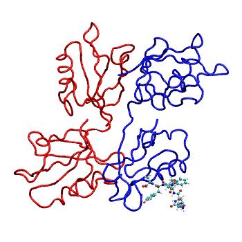 Structure preview of MDBind 1ybo