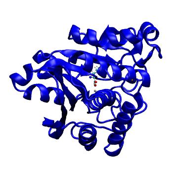 Structure preview of MDBind 1f2o