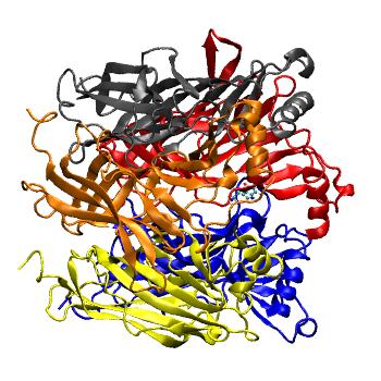 Structure preview of MDBind 2ymd_2