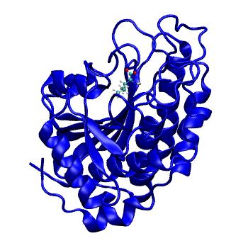 Structure preview of MDBind 3b3s