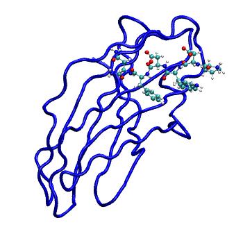 Structure preview of MDBind 3zhf