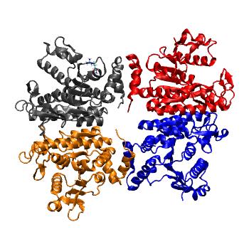 Structure preview of MDBind 3zzh
