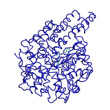 Structure preview of MDBind 4aa1
