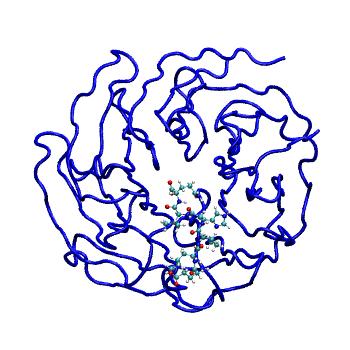 Structure preview of MDBind 4j79