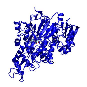 Structure preview of MDBind 4pfu