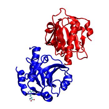 Structure preview of MDBind 5eb2