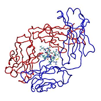 Structure preview of MDBind 5hyq