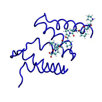 Structure preview of MDBind 6evm