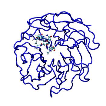 Structure preview of MDBind 4a7j