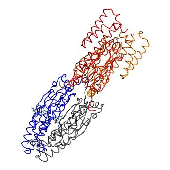 Structure preview of MDBind 4ezq