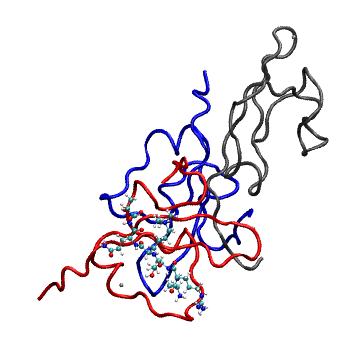 Structure preview of MDBind 4o62