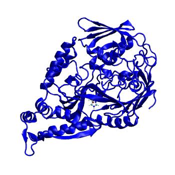 Structure preview of MDBind 4oeu