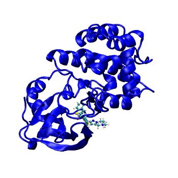 Structure preview of MDBind 4rx5
