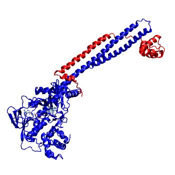 Structure preview of MDBind 4uva