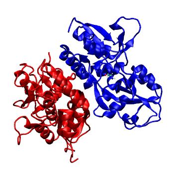 Structure preview of MDBind 4ykj