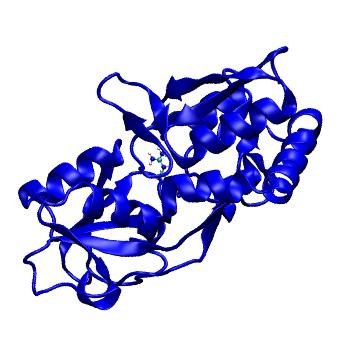 Structure preview of MDBind 4zv1