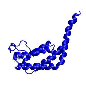 Structure preview of MDBind 5i1q