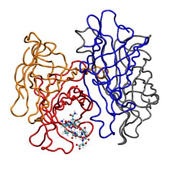 Structure preview of MDBind 5n8j