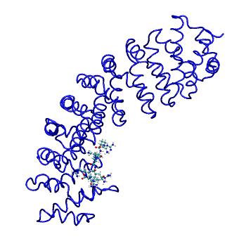 Structure preview of MDBind 5svz
