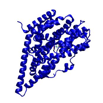Structure preview of MDBind 6bau