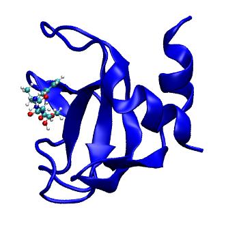 Structure preview of MDBind 6fc6