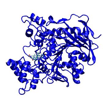 Structure preview of MDBind 6g4n