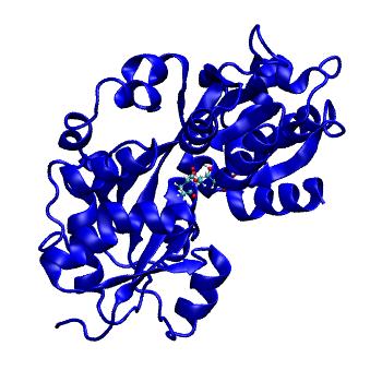 Structure preview of MDBind 6hm2