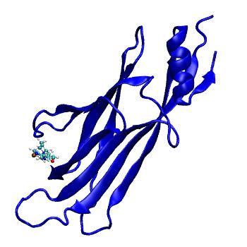 Structure preview of MDBind 6hpw