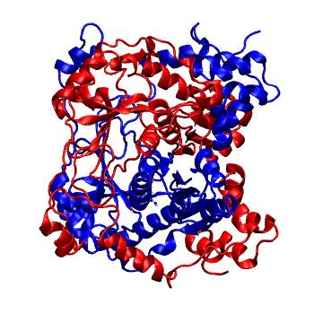 Structure preview of MDBind 6mjf